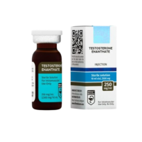 Testosterone Enanthate Testosterone Enanthate