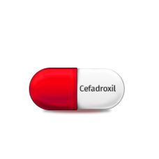 CEFADROXIL CEFADROXIL