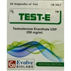 TEST-E TEST-E