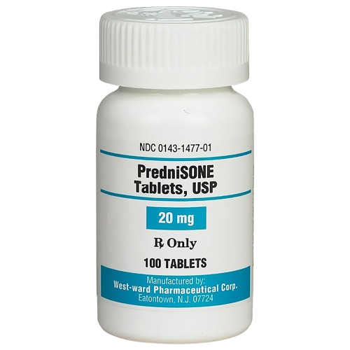 Prednisone Prednisone